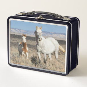 Lunch Box Chevaux sauvages chez eux dans le bassin de Sandwa