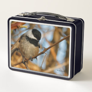 Lunch Box Chickadee Songbird, Joli Espérant