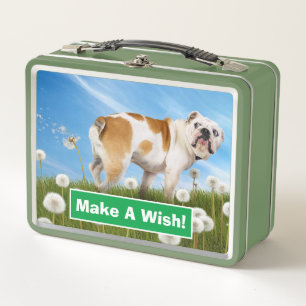 Lunch Box Chien avec Dandelion