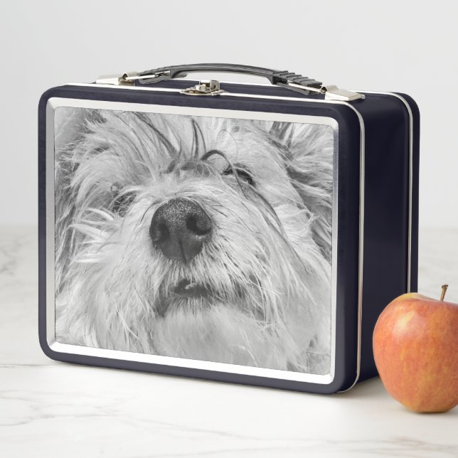 Lunch Box Chien de Coton de Tulear (En situation)
