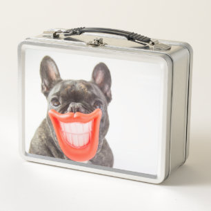 Lunch Box Chien de sourire des images   A de Getty