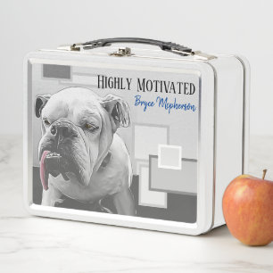 Lunch Box Chien-taureau très motivé et endormi avec la langu