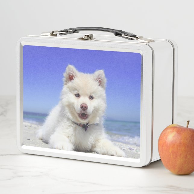 Lunch Box Chiot blanc (En situation)