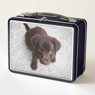 Lunch Box Chiot de laboratoire Brown