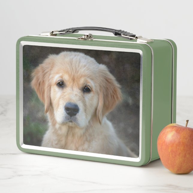 Lunch Box Chiot Golden Retriever (En situation)