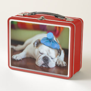 Lunch Box Chiot malade des images   de Getty jeune