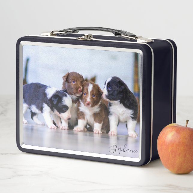 Lunch Box Chiots de Border Collie mignons (En situation)