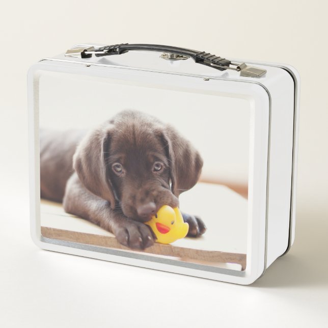 Lunch Box Chocolat Labrador Puppy With Toy Duck (Dos)