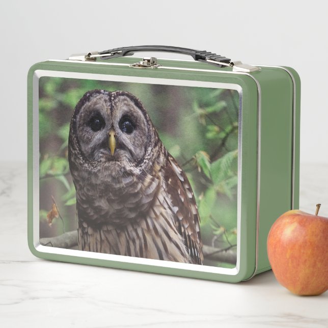 Lunch Box Chouette barrée (En situation)