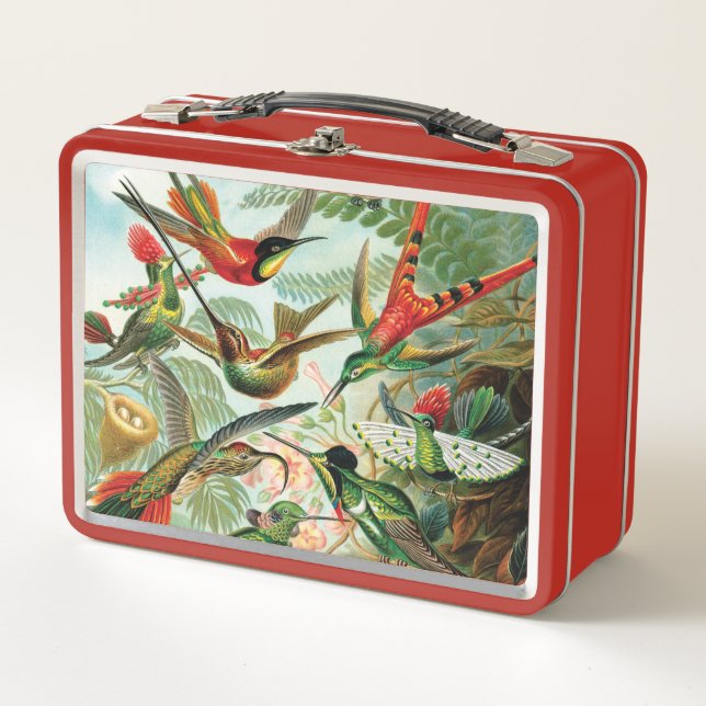 Lunch Box Colibris par Ernst Haeckel (Devant)