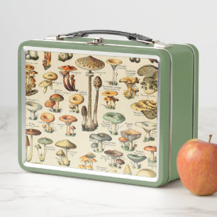 Lunch Box Collection de champignons