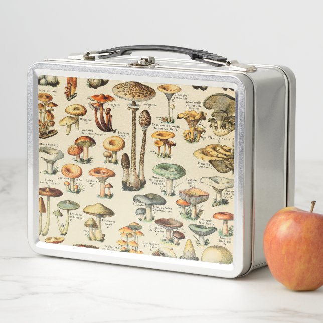 Lunch Box Collection de champignons    (En situation)