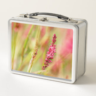 Lunch Box coloris