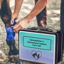 Conteneur d'urgence sur mesure de premiers soins