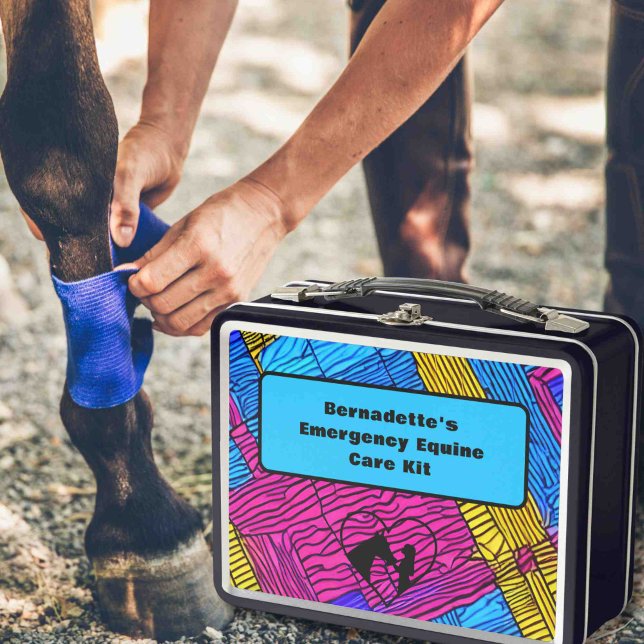 Lunch Box Conteneur d'urgence sur mesure de premiers soins (Créateur téléchargé)