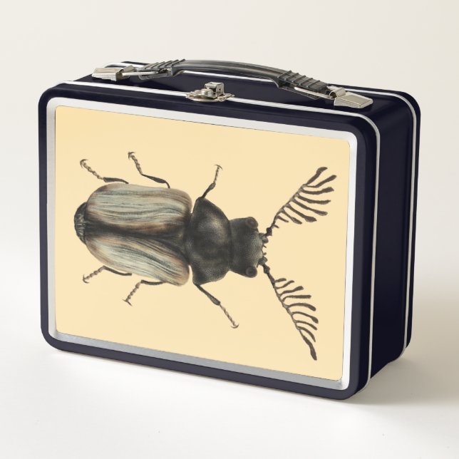 Lunch Box Cool dendroctone insecte amant entomologie art (Devant)