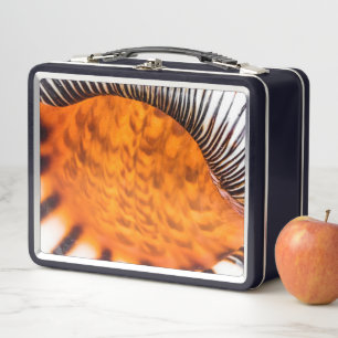 Lunch Box Coquillage hypnotique