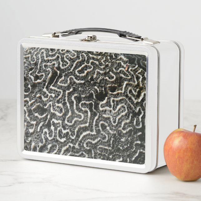 Lunch Box Corail noir et blanc II Abstrait Nature Photo (En situation)
