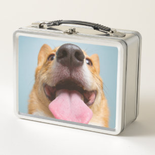 Lunch Box Corgi très heureux des images de Getty