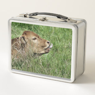 Lunch Box COW Cute