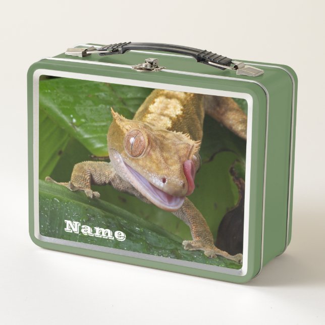 Lunch Box Crested Gecko (Devant)