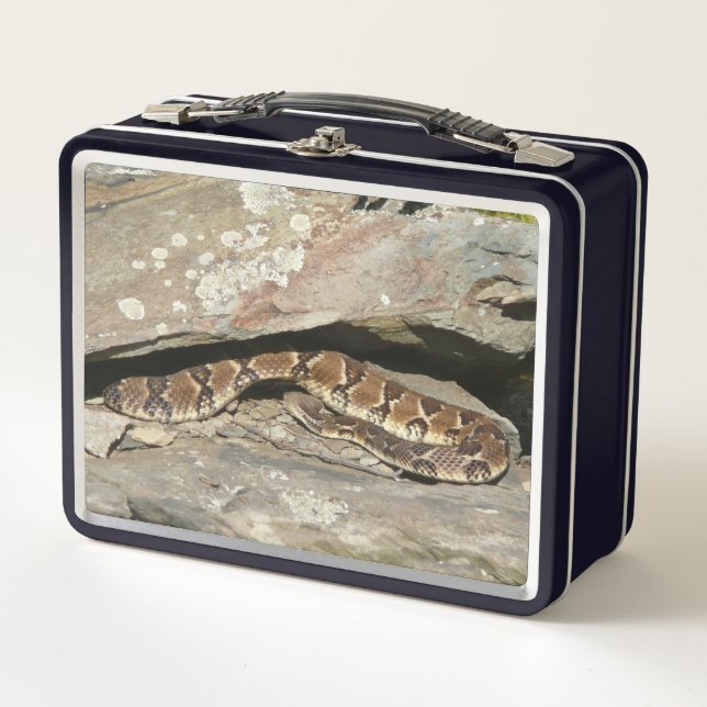 Lunch Box Crotale dans le parc national de Shenandoah (Devant)