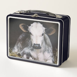 Lunch Box Culture occupée de jour