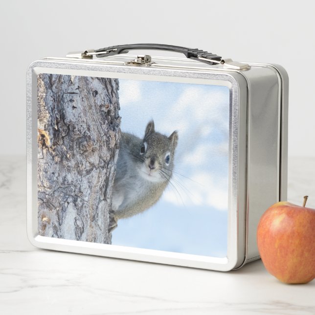 Lunch Box Curious Squirrel, Canadian Animal Photography (En situation)