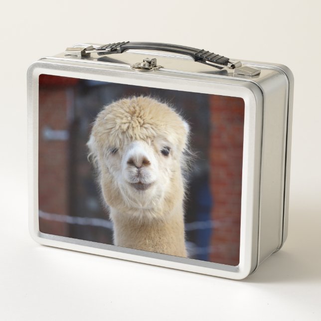 Lunch Box Cute Alpaca face (Devant)