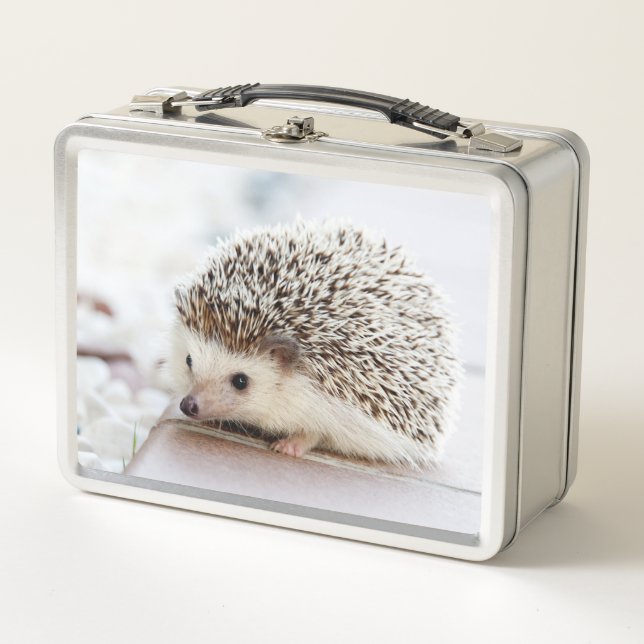 Lunch Box Cute Baby Hedgehog Photo (Devant)