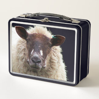 LUNCH BOX CUTE SHEEP