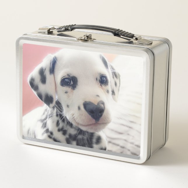 Lunch Box Dalmatian Heart Nose (Devant)