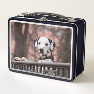 Lunch Box Dalmatien
