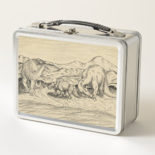 Lunch Box Dinosaures classiques