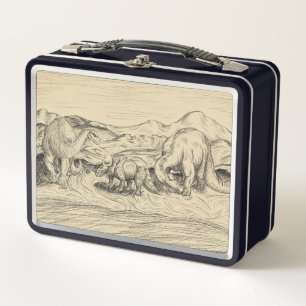 Lunch Box Dinosaures classiques