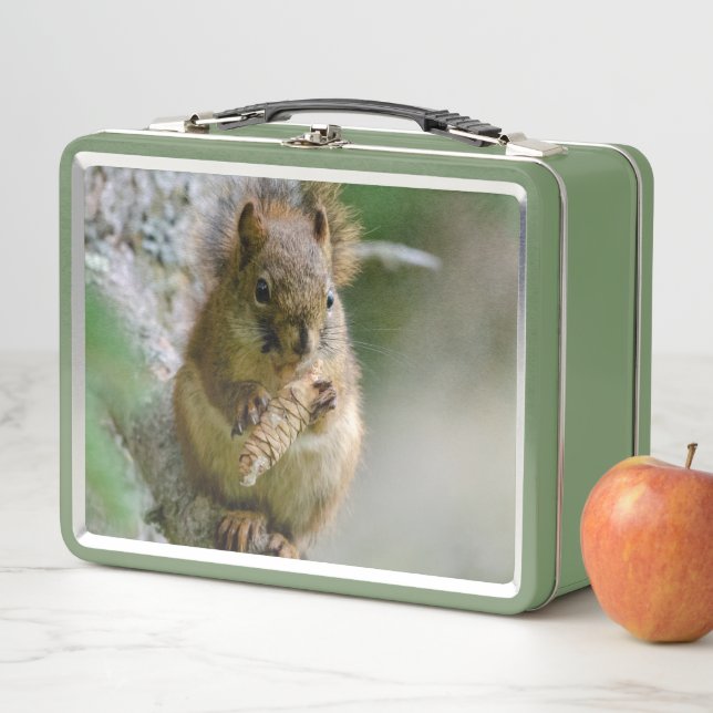 Lunch Box Écureuil de forêt – Photographie de faune sauvage (En situation)
