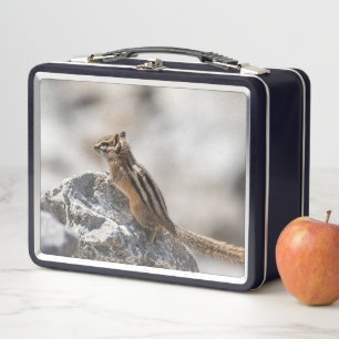 Lunch Box Écureuil de terre des bois – Portrait attachant de