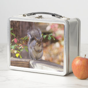 Lunch Box Écureuil mendiant