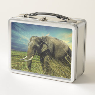 Lunch Box Eléphant
