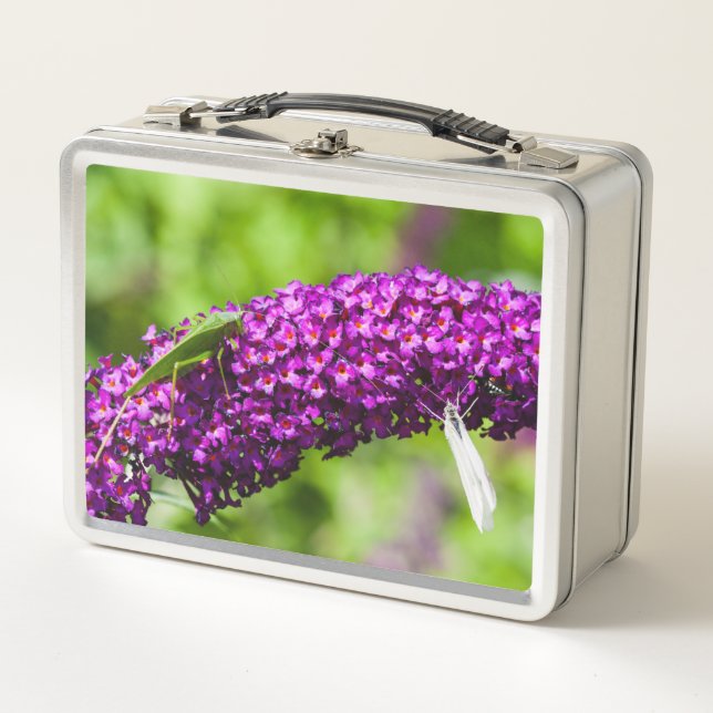 Lunch Box énergie katydone (Devant)