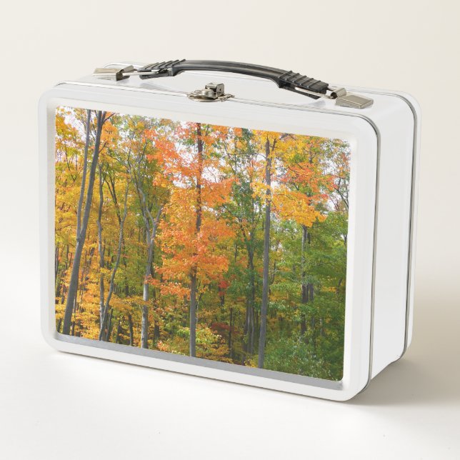 Lunch Box Érables en automne Photographie de la nature (Devant)