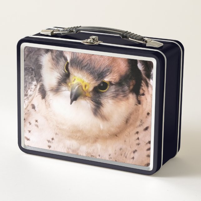 LUNCH BOX FALCON (Devant)
