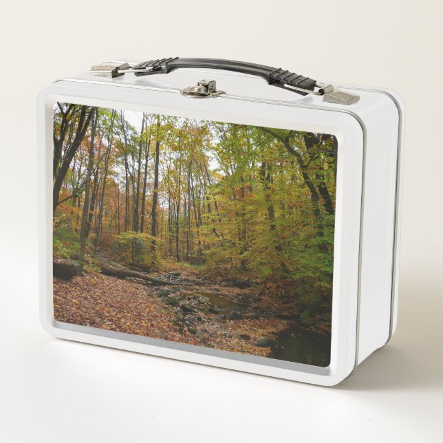 Lunch Box Fall Creek à Laurel Hill State Park Pennsylvania (Devant)