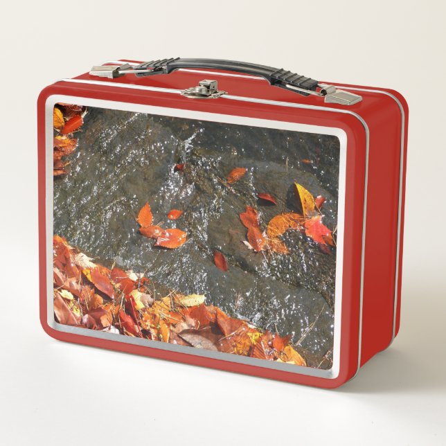 Lunch Box Feuilles d'automne dans la cascade I Photographie  (Devant)