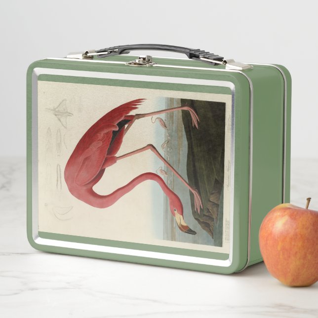 Lunch Box Flamant rose américain d'Audubon's Birds of Americ (En situation)