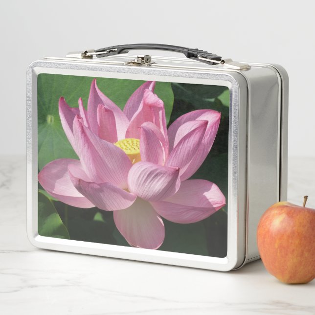 Lunch Box Fleur de lotus rose IV (En situation)