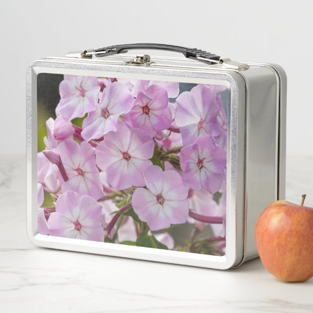 Lunch Box Fleur de Phlox Rose, Photographie Canadienne (En situation)