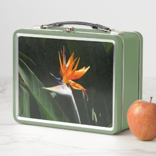 Lunch Box Fleur tropicale orange d'oiseau de paradis