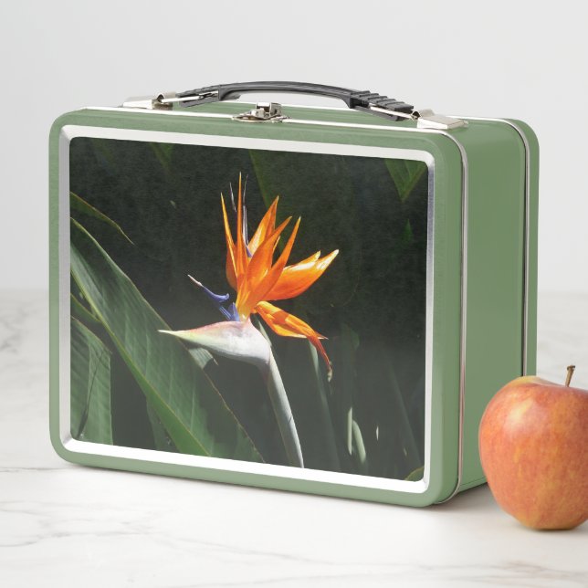 Lunch Box Fleur tropicale orange d'oiseau de paradis (En situation)