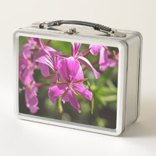 Lunch Box Fleurs roses d'un géranium à feuilles de lierre